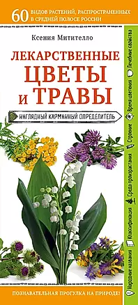 Лекарственные цветы и травы. Наглядный карманный определитель — 2657179 — 1