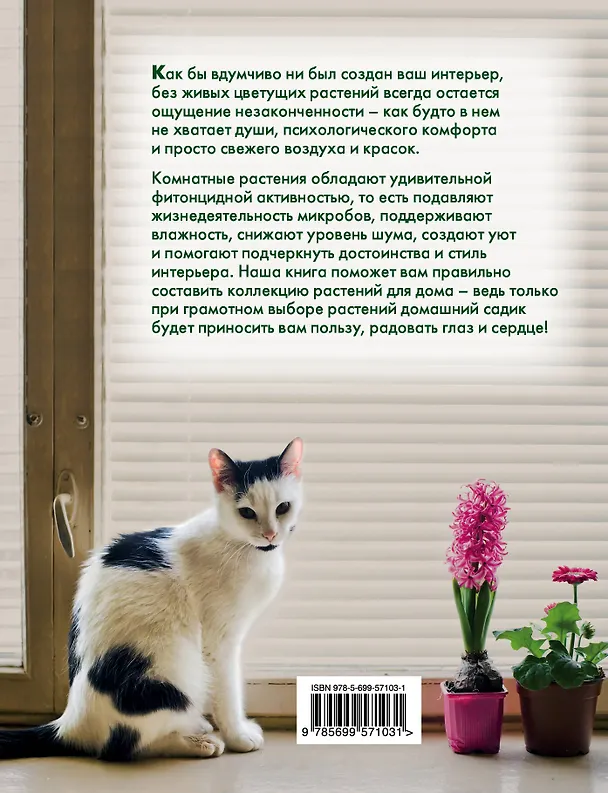 Книга Красивый сад на вашем подоконнике (Екатерина Волкова) — 2