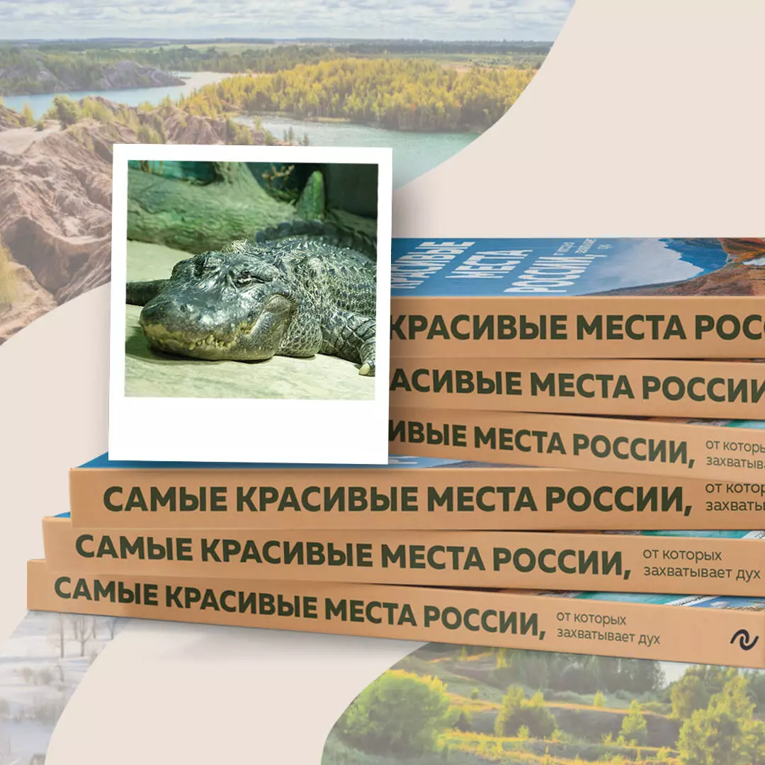 Самые красивые места России, от которых захватывает дух (Светлана  Кирсанова) - купить книгу с доставкой в интернет-магазине «Читай-город».  ISBN: 978-5-04-153967-2