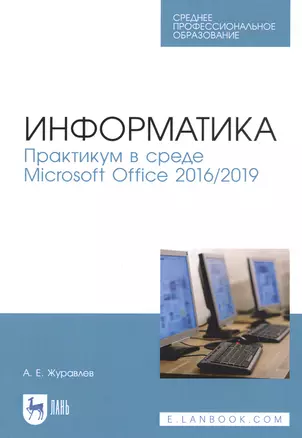 Информатика. Практикум в среде Microsoft Office 2016/2019. Учебное пособие — 2821866 — 1