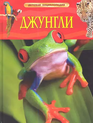 Джунгли — 2334617 — 1