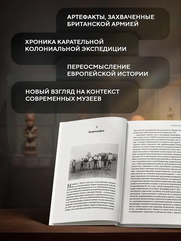 Книга Музеи жестокости: Бенинские бронзы, колониальное насилие и культурная реституция (Дэн Хикс) — 5