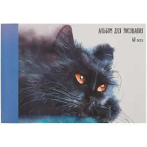 Альбом для рисования Listoff, "Котик", А4, 40 листов, на склейке