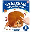 Чудесные превращения