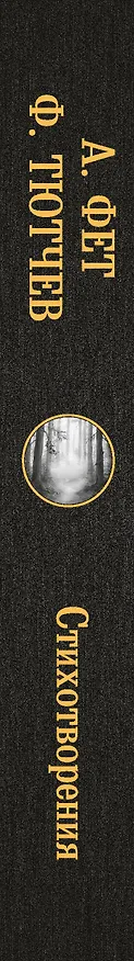 Книга Стихотворения (Афанасий Фет, Федор Тютчев) — 3