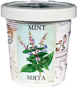 Набор для выращивания Мята (W1487)