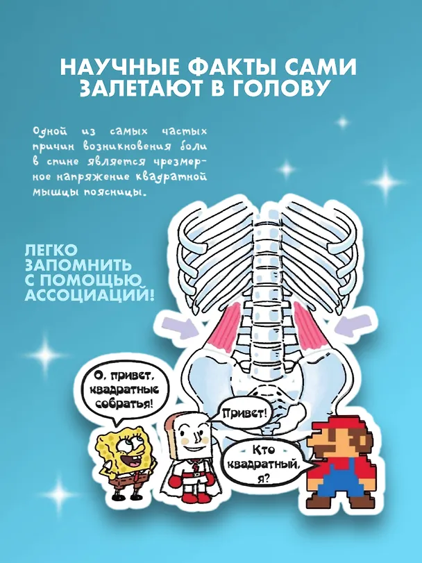 Невероятно наглядная анатомия. Манхва 3000709 — 7