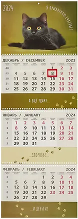 Календарь квартальный 2024г 295*830 "Привлекаю счастье" настенный, трёхблочный, спираль 2998984