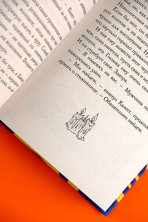 Книга Академия Шепота (Любовь Огненная) — 8