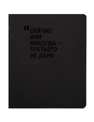 Тетрадь 48л кл. "Сейчас или никогда-третьего не дано" дизайн.тонир. картон, Schiller 3106850