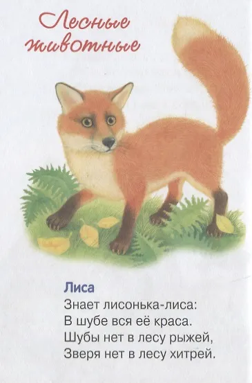 Книга Почемучка Стихи (Н. Терентьева) — 5