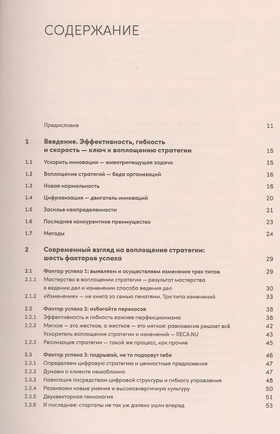Книга Реальная стратегия. Как планировать только то, что можно воплотить (Жак Пейл) — 2