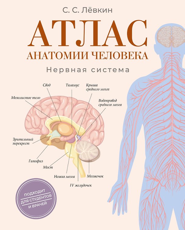 Книга Атлас анатомии человека. Нервная система (Сергей Лёвкин) — 1