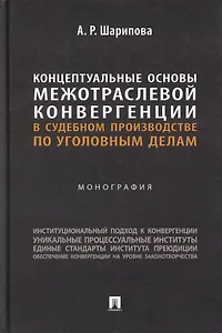 Концептуальные основы межотраслевой конвергенции в судебном производстве по уголовным делам: монография