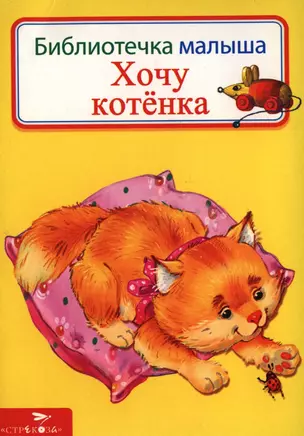 Хочу котенка — 2398543 — 1