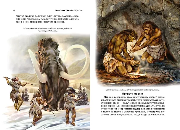 Книга Происхождение человека (И.В. Рябинина) — 3