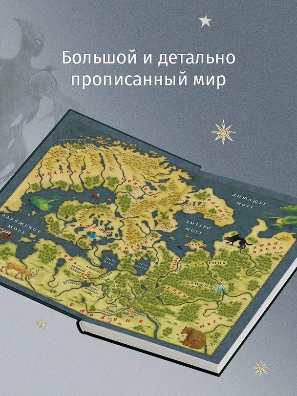 Книга Тень с Севера (Анна Гурова, Мария Семенова) — 8