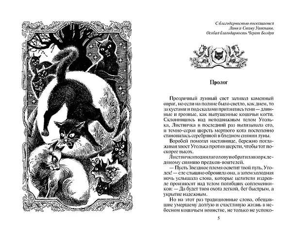 Книга Восход солнца (Эрин Хантер) — 2