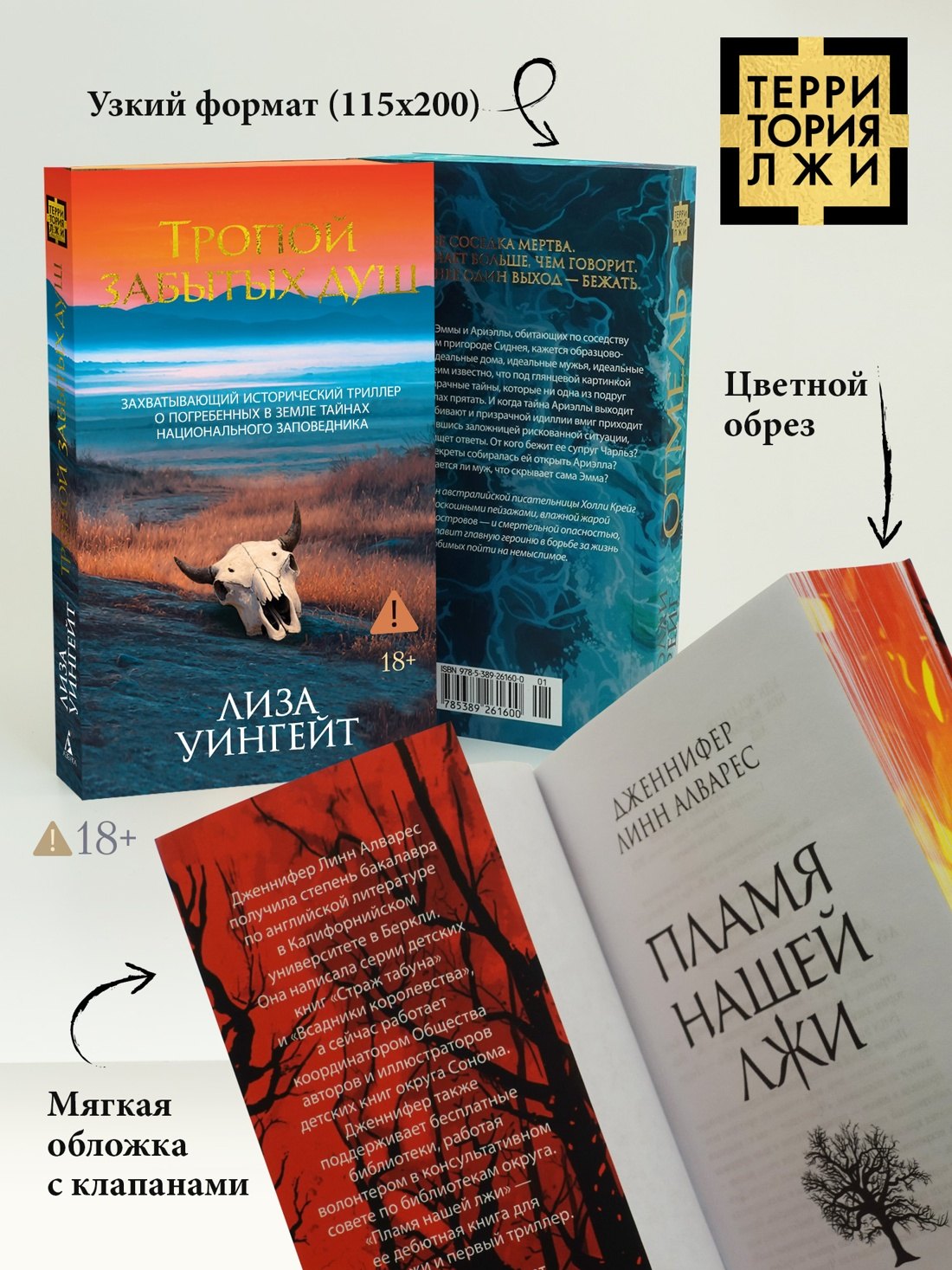 Изображение бумажной книги