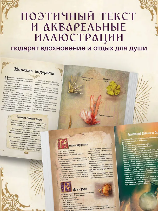 Книга Травология Средневековья. Чудодейственные растения, древние рецепты и непостижимые тайны трав (Магали Мотте, Сара Мотте) — 8