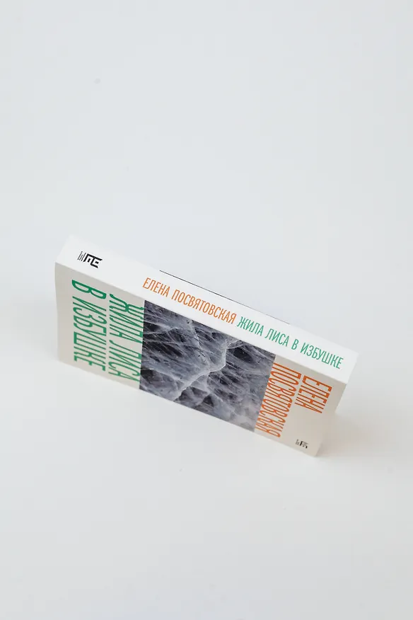 Книга Жила Лиса в избушке (Елена Посвятовская) — 7
