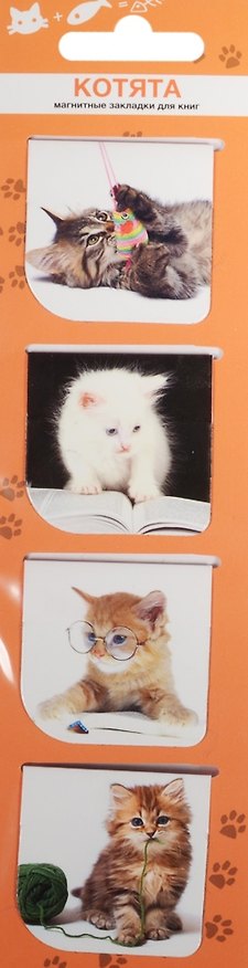 Магнитные закладки «Котята», 4 штуки 2452183 — 1