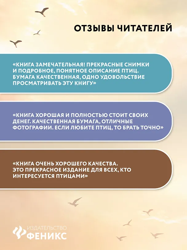 Книга Птицы Европейской части России: фотоопределитель (Владимир Храбрый) — 9