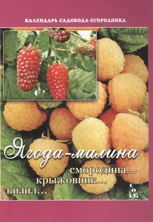 Ягода-малина Смородина Крыжовник Кизил (мКалендСадОгор) Мовсесян (2 вида) — 2489442 — 1