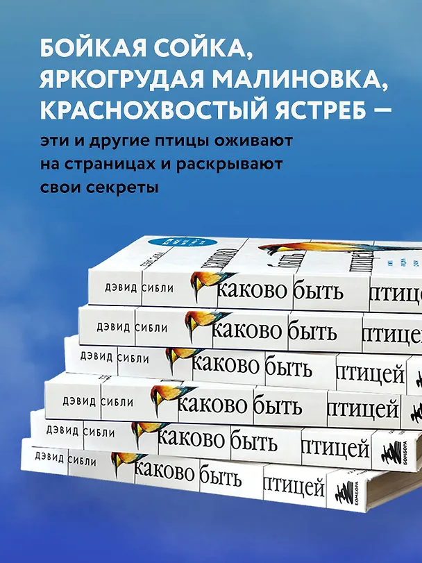Книга Каково быть птицей: о полетах и гнездовании, кормлении и пении. Как и чем живут самые известные птицы на земле (Дэвид Сибли) — 12