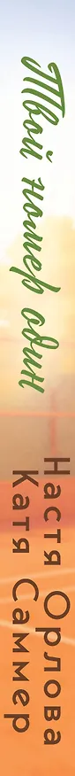 Книга Твой номер один (Настя Орлова, Катя Саммер) — 4