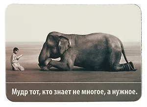 Сувенир МАГНИТИК Магнит 9,5*6,5см "Афоризмы":"Мудр тот, кто знает не многое, а нужное..."