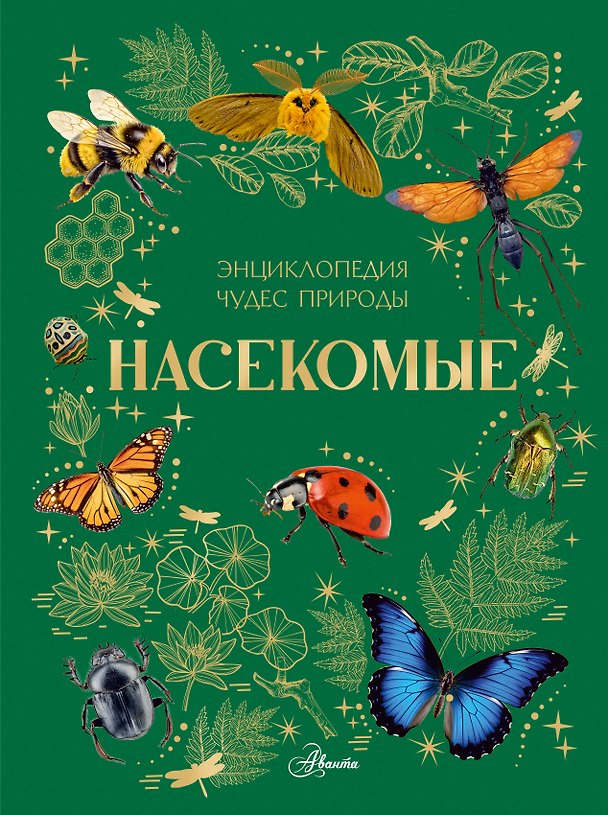 Книга Насекомые () — 1