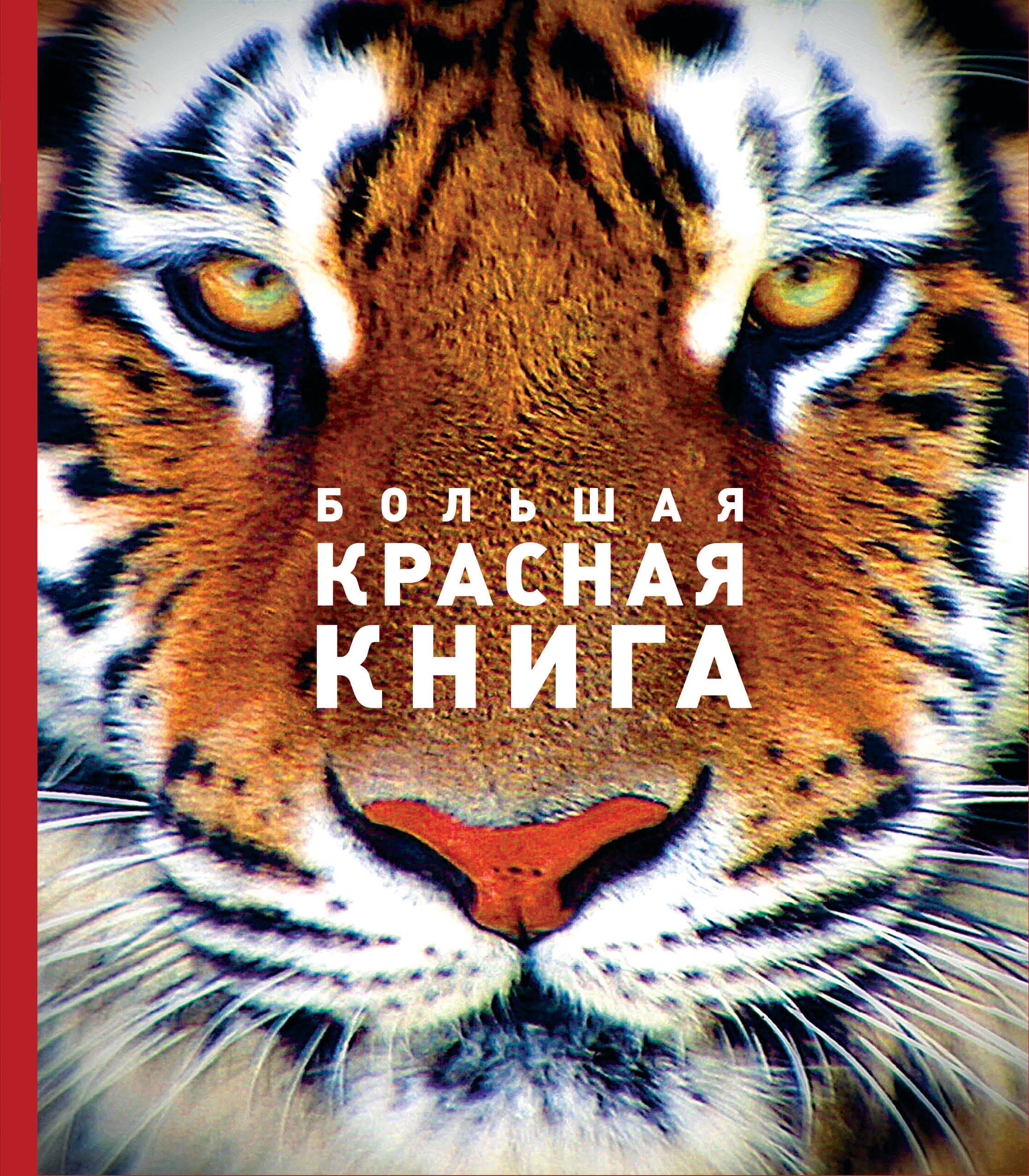 

Большая красная книга (стерео-варио)