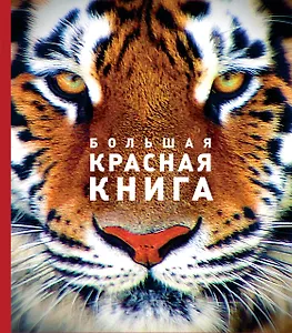 Большая красная книга (стерео-варио)