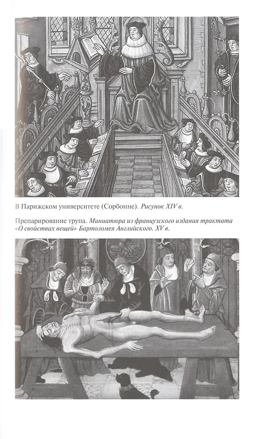 Книга Парацельс. Гений или шарлатан? (Александр Томчин) — 7