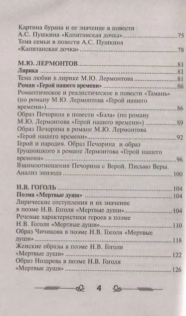 Книга Сочинение в кармане дп (Елена Амелина) — 3