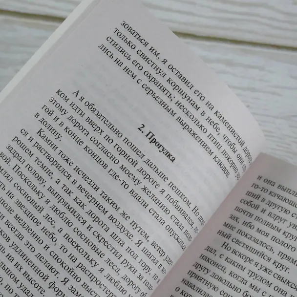 Книга Превращение (Франц Кафка) — 10