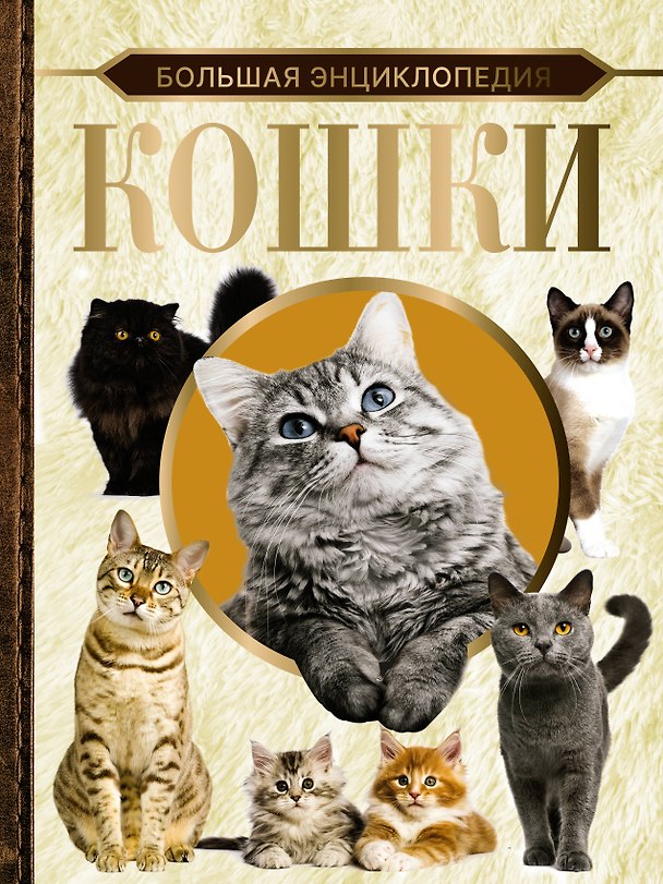 Книга Большая энциклопедия. Кошки (Дмитрий Смирнов) — 1