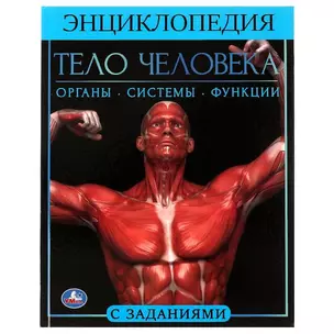 Тело человека — 2992262 — 1