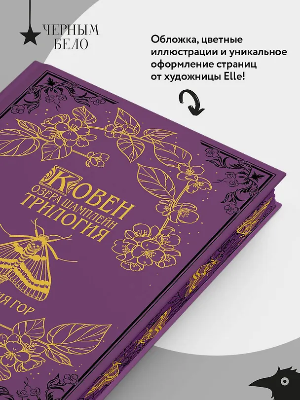 Книга Ковен озера Шамплейн. Трилогия (Подарочное издание) (Анастасия Гор) — 7
