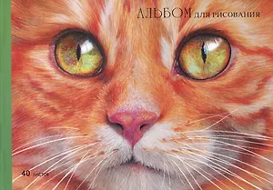 Альбом для рисования Listoff, "Рыжий котик", А4, 40 листов, на склейке