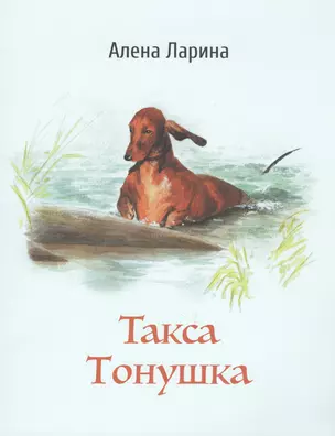 Такса Тонушка — 2745459 — 1