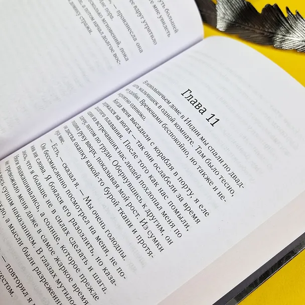Книга Африканский самурай (Крейг Шрив) — 11
