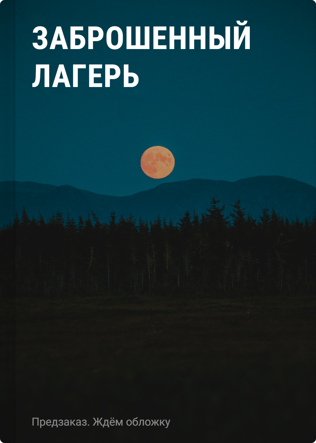None Заброшенный лагерь