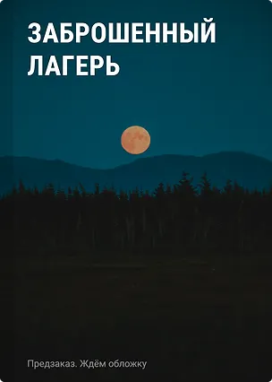 Книга Заброшенный лагерь ()