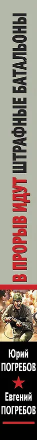 Книга В прорыв идут штрафные батальоны (Юрий Погребов) — 3