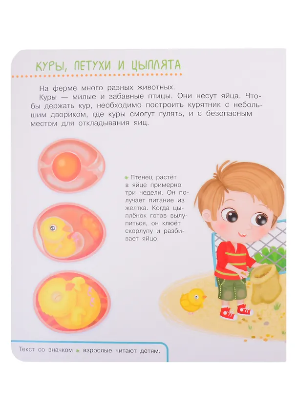Книга Что? Почему? Зачем? Домашние животные. 50 волшебных окошек (Иллария Барсотти) — 2