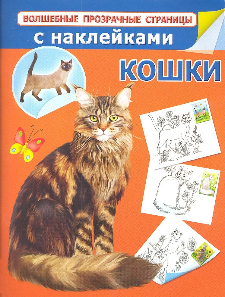 

Кошки