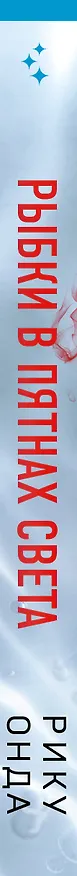 Книга Рыбки в пятнах света (Рику Онда) — 4