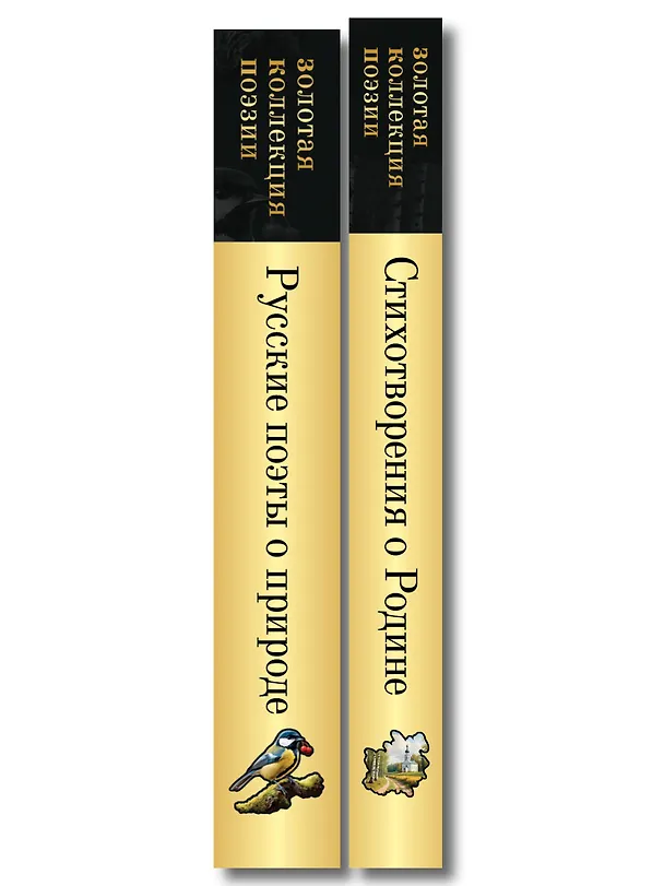 Книга Комплект Родина моя (из 2-х книг Русские поэты о природе Стихотворения о Родине) () — 3
